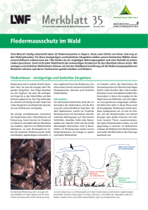 Fledermausschutz im Wald - Bayerische Landesanstalt für Wald und