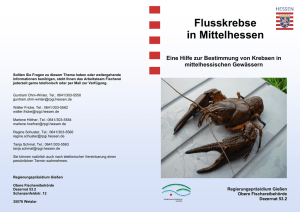 Flusskrebse in Mittelhessen - Regierungspräsidium Gießen