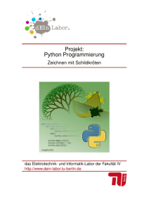 Projekt: Python Programmierung - dEIn Labor