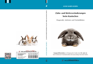 Zahn- und Kieferveränderungen beim Kaninchen : Diagnostik