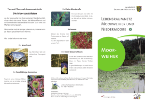 Moor- weiher - Landschaftspflegeverband Mittelfranken