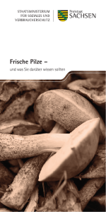 Faltblatt Frische Pilze - Publikationen