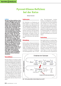 000-Streicher-Pyruvat.qxd:Layout 1 - Katzen