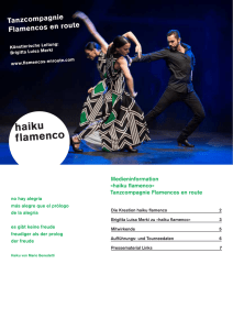 haiku flamenco - flamencos en route