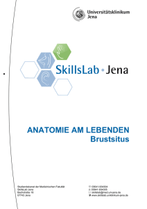 ANATOMIE AM LEBENDEN Brustsitus