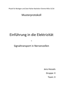 Musterprotokoll_Einf.. - Carl von Ossietzky Universität Oldenburg
