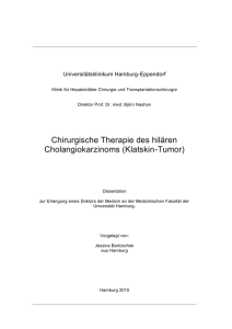 Dokument 1 - Universität Hamburg