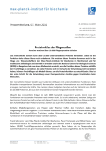 Pressemitteilung  - Max-Planck
