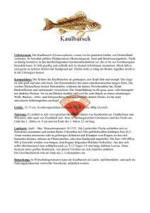 Lebensraum: Der Kaulbarsch (Gymnocephalus cernua)