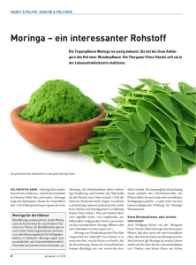 Moringa – ein interessanter Rohstoff