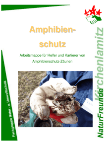 Amphibien Arbeitsmappe - NaturFreunde Kirchenlamitz