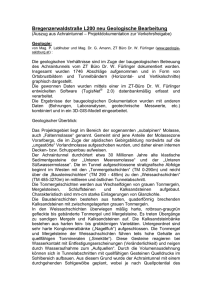 PDF Datei - Geologisches Büro Dr. Werner Fürlinger