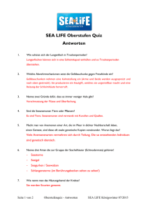 SEA LIFE Oberstufe Quiz Antworten