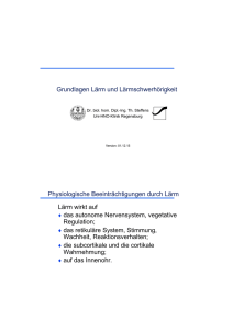 Lärm (PDF