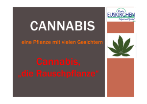 Fachtag Cannabis 26.08.2015