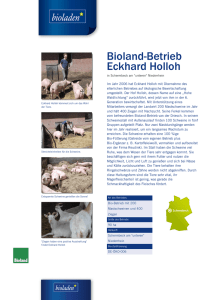 Bioland-Betrieb Eckhard Holloh