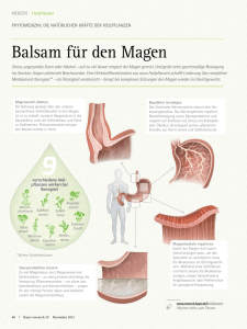 Balsam für den Magen - research - Das Bayer
