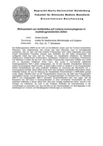 Wirksamkeit von Antibiotika auf Listeria monocytogenes in
