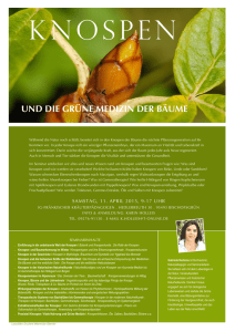 KNOSPEN - Grüne Kosmetik