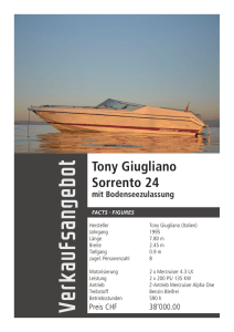 Tony Giugliano Sorrento 24 - beim Schweizerischen Bodensee