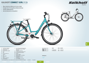 Datenblatt - Fahrrad