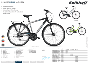 Datenblatt - Fahrrad