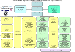 Fachspezifisches Organigramm der Ärzte und Wissenschaftler der