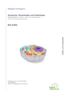 Probe_Zelle - Zytologie