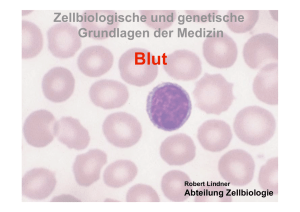 Blut 2006 - Medizinische Hochschule Hannover