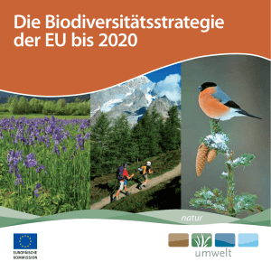 EU-Biodiversitätsstrategie 2020 - Europäische Kommission
