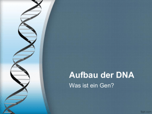 Aufbau der DNA