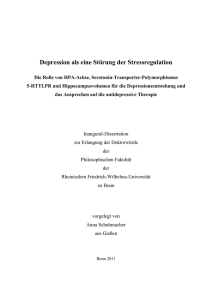Depression als eine Störung der Stressregulation: Die Rolle von