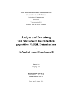 Analyse und Bewertung von relationalen Datenbanken