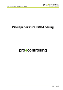 pro4reporting - Whitepaper (DEU)