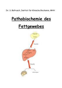 Pathobiochemie des Fettgewebes