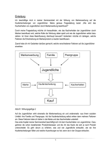 Jugendliche und Markenwerbung - Liebfrauenschule Sigmaringen
