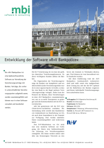 Entwicklung der Software »R+V Bankpolice