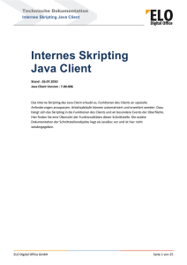 Internes Skripting Java Client