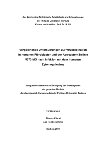 Vergleichende Untersuchungen zur Virusreplikation in humanen