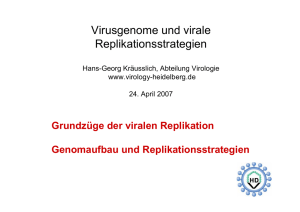 Virusgenome und virale Replikationsstrategien