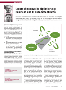 unternehmensweite optimierung: Business und It