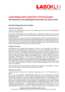 Labordiagnostik endokriner Erkrankungen