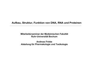 Aufbau, Struktur, Funktion von DNA, RNA und Proteinen
