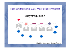 Enzymregulation