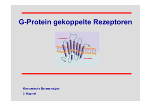 G-Protein gekoppelte Rezeptoren
