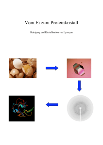 Vom Ei zum Proteinkristall