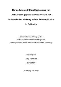 Herstellung und Charakterisierung von Antikörpern gegen das Prion