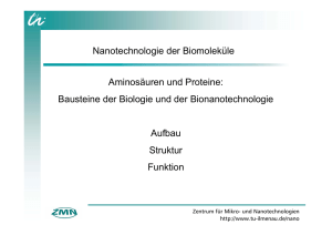 Nanotechnologie der Biomoleküle Aminosäuren und Proteine