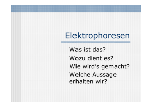 Elektrophoresen