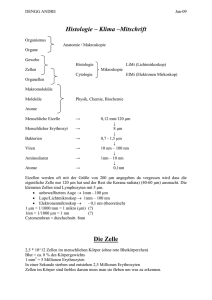 Histologie œ Klima œMitschrift Die Zelle